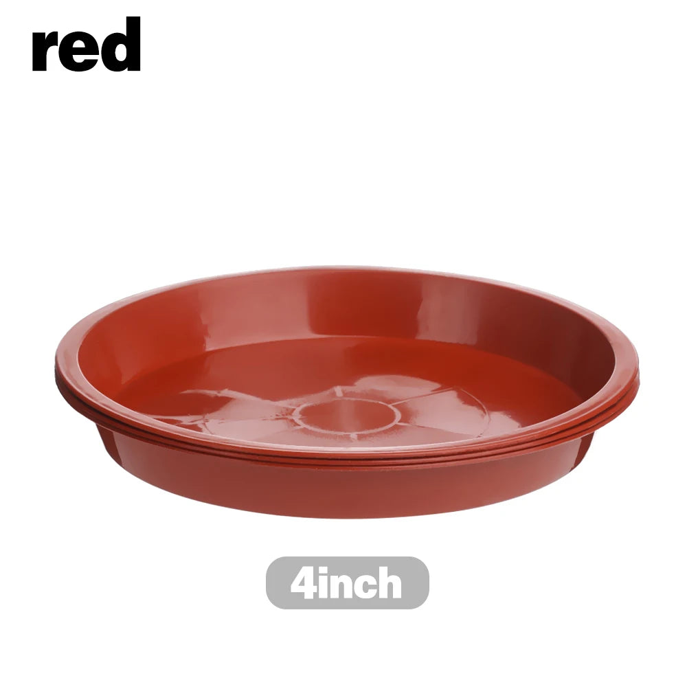 Round Plastic Plant Saucers, 4–10 in, 3 Pack