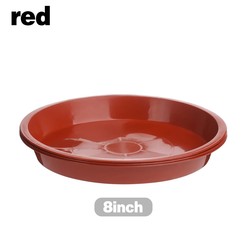 Round Plastic Plant Saucers, 4–10 in, 3 Pack