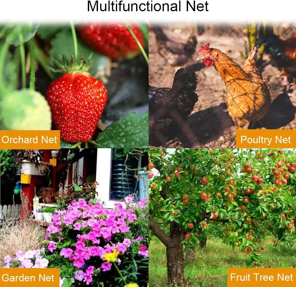 Black PE Bird Netting for Crops and Fruit Trees, 1.5–5 cm Mesh