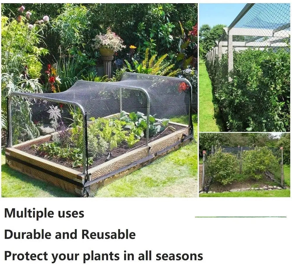 Black PE Bird Netting for Crops and Fruit Trees, 1.5–5 cm Mesh