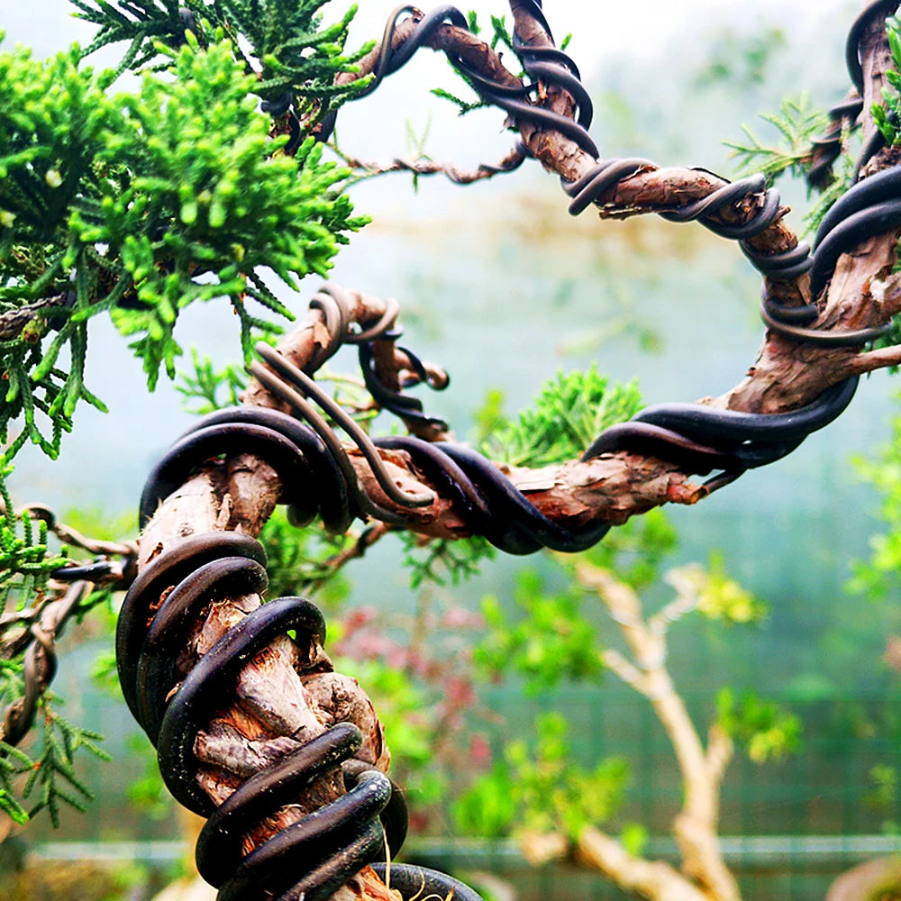 Black Aluminum Bonsai Wire, 1–5 mm, 5 m