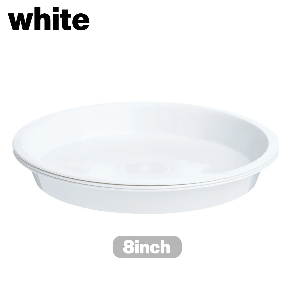 Round Plastic Plant Saucers, 4–10 in, 3 Pack