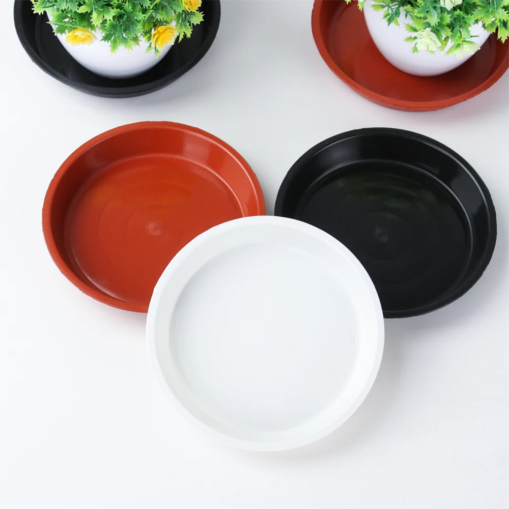 Round Plastic Plant Saucers, 4–10 in, 3 Pack