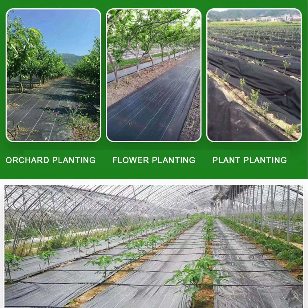 Woven PE Weed Barrier Fabric, 50 or 100 cm Wide, 5 or 10 m