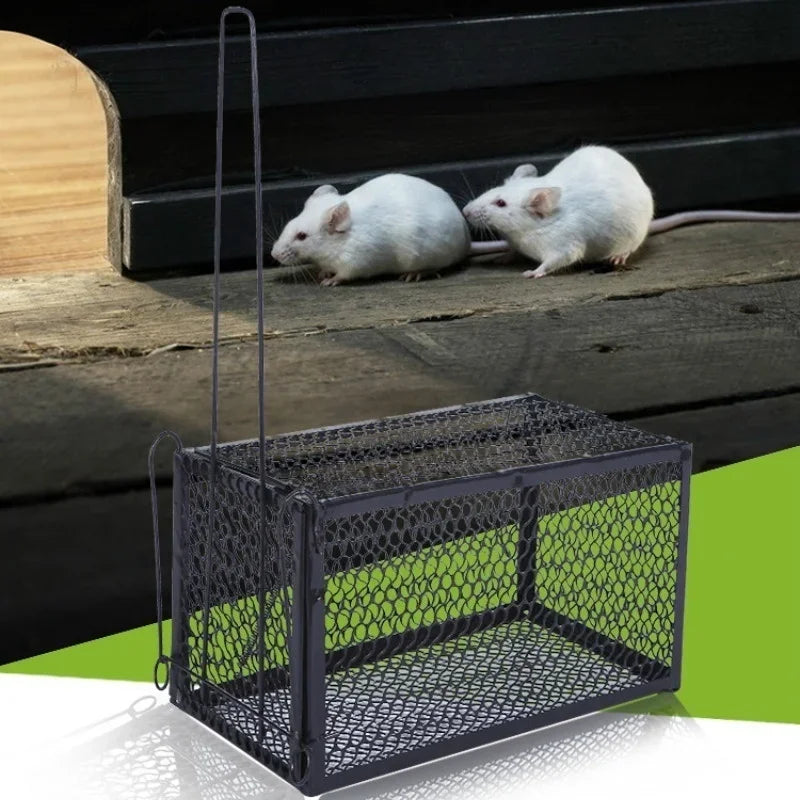 Metal Live-Catch Rat and Mouse Cage Trap, 23 cm