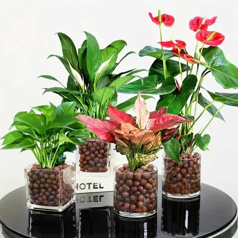 Garden Hydroponic Expanded Clay Pebbles – Organic Ceramic Oval Pellets for Pots, Planters,Orchids, Succulents, Bottom Drainage