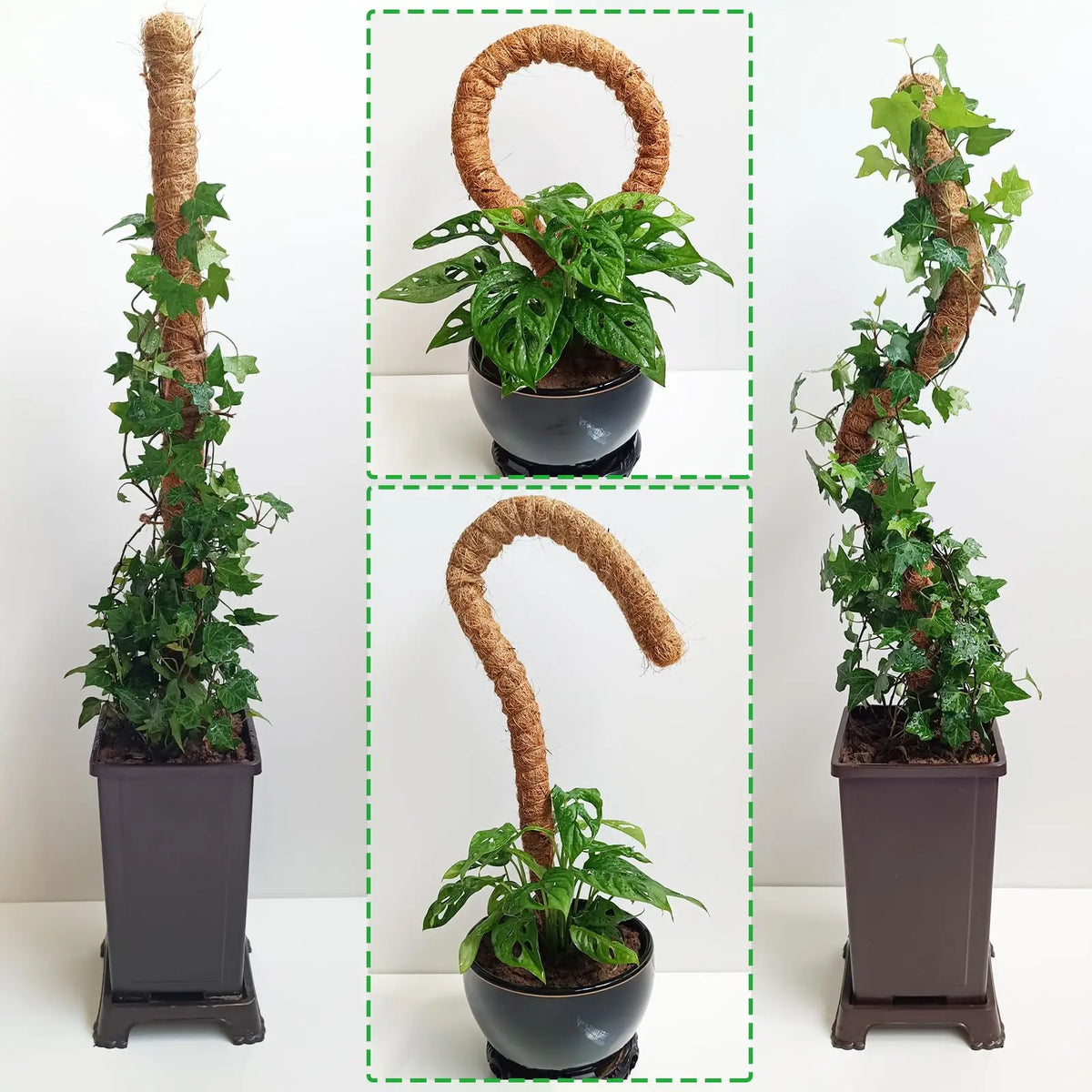 Gardening Coconut Stick Green Pot Fixed Plant Climbing Cane Flower Support Coconut Climbing Cane Moss Rod 1pc