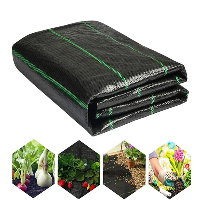 PE Weed Control Fabric with Planting Guide Lines, 1 × 5 m