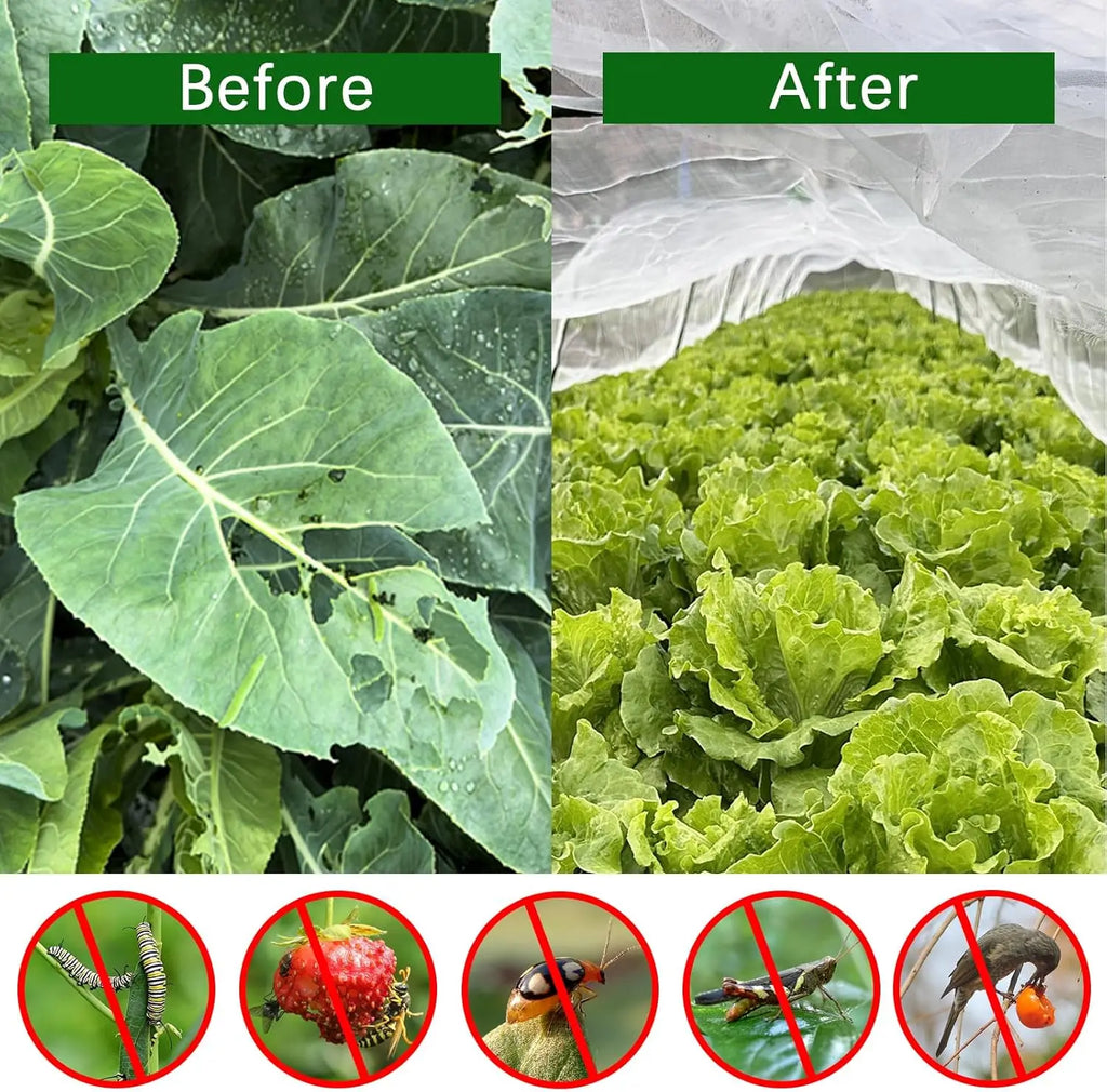 White 60-Mesh Insect Netting for Vegetables, 2.5 m Wide, 3–30 m Long
