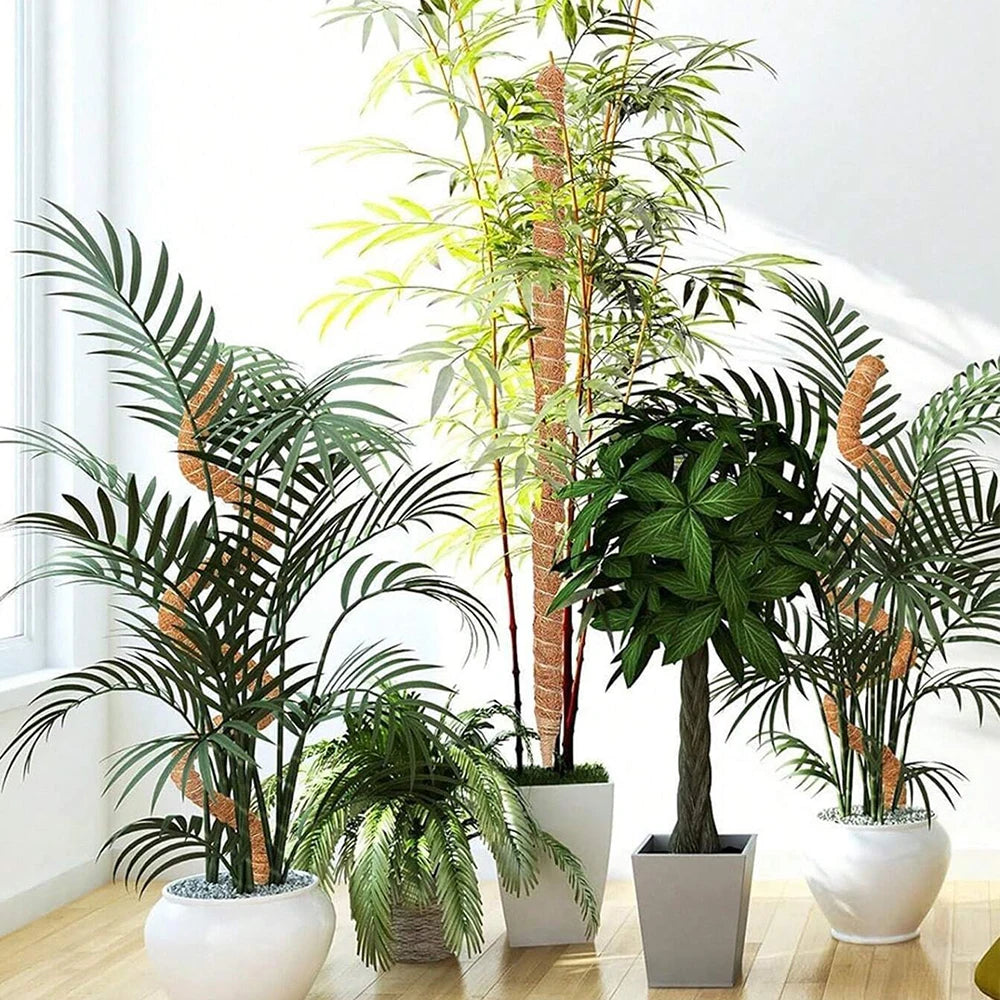 Bendable Coir Moss Pole for Climbing Houseplants, 30–100 cm