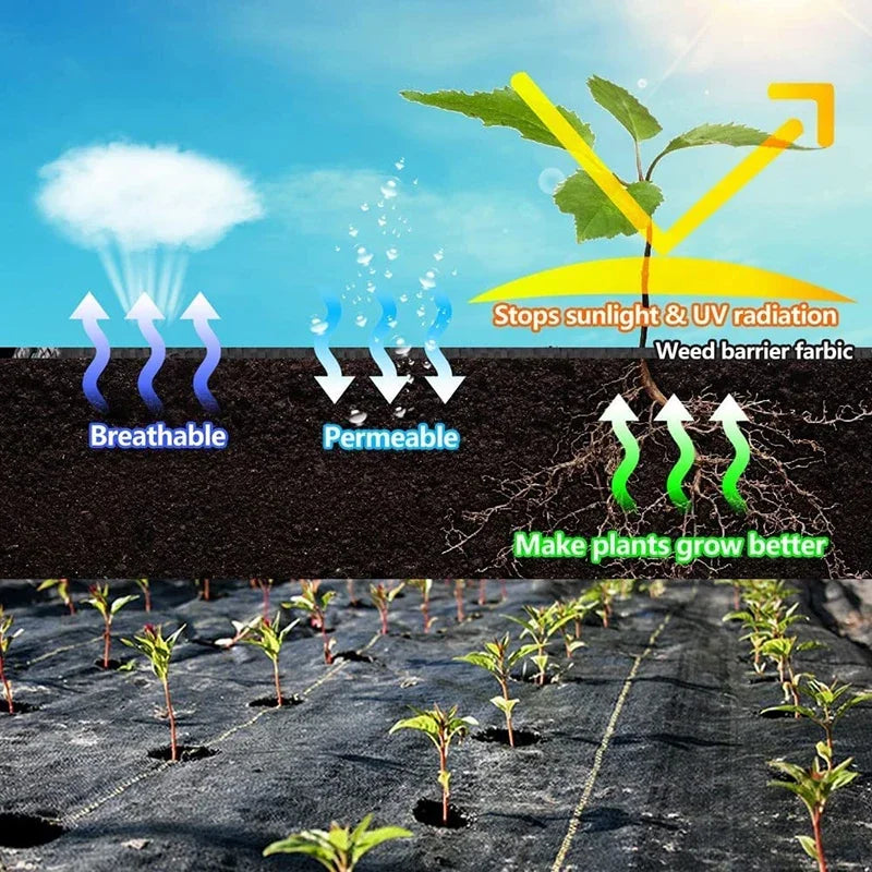 PE Weed Control Fabric with Planting Guide Lines, 1 × 5 m