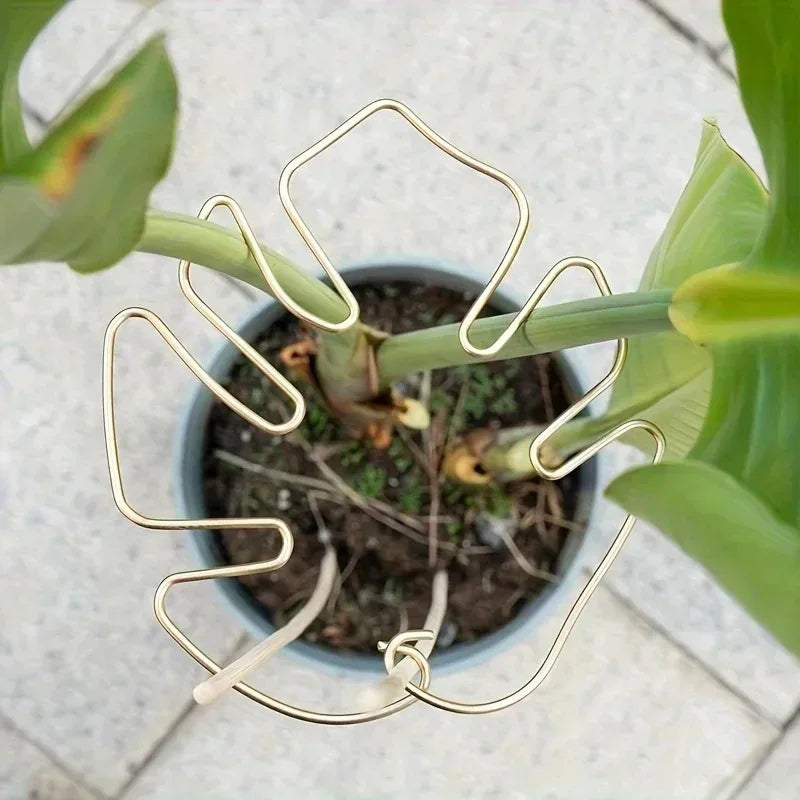 Plant Stabilizer Plant Holder For Supporting Monstera And Flowers Plant Support