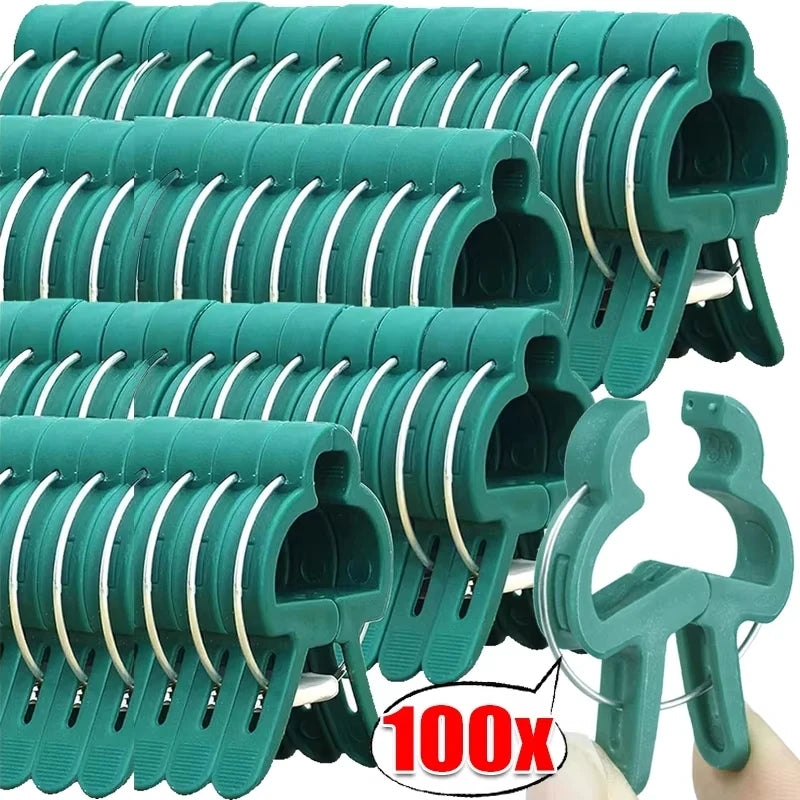 Reusable Plastic Plant Clips for Vines and Tomatoes, 10–100 Pack