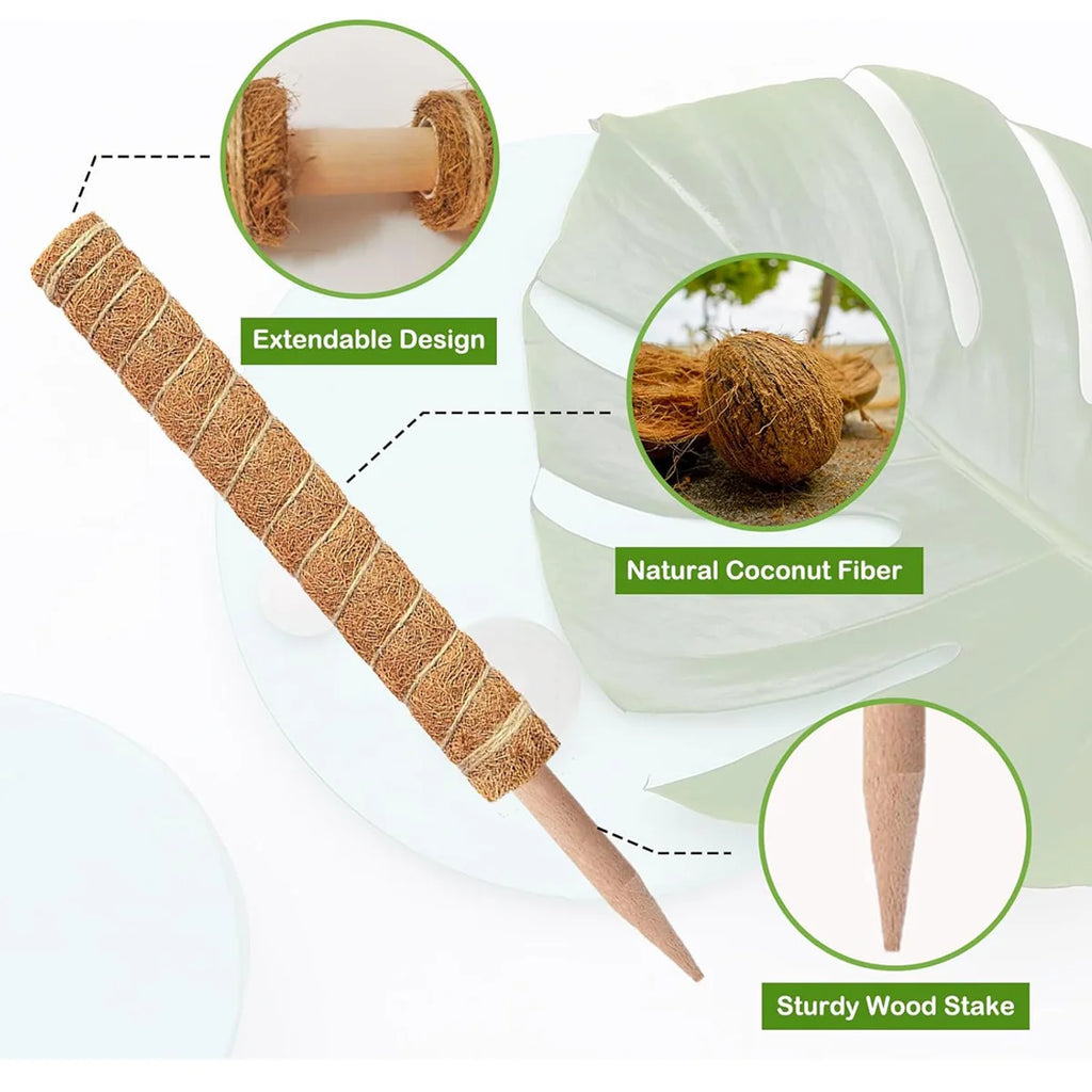 Gardening Coconut Stick Green Pot Fixed Plant Climbing Cane Flower Support Coconut Climbing Cane Moss Rod 1pc