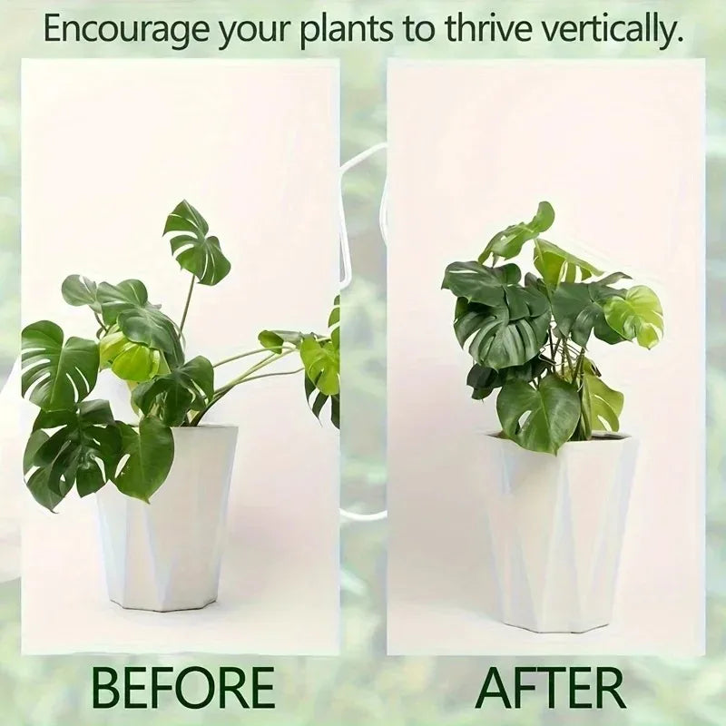 Plant Stabilizer Plant Holder For Supporting Monstera And Flowers Plant Support