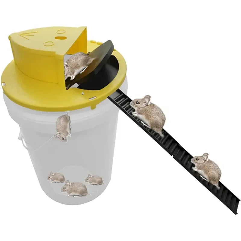 Bucket-Mount Flip-Lid Mouse Trap, Auto Reset