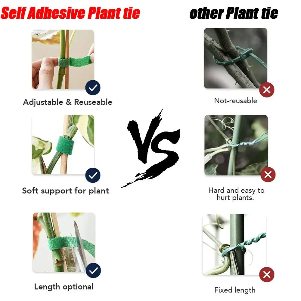 Hook-and-Loop Plant Ties, 5 m Rolls, 1–24 Pack