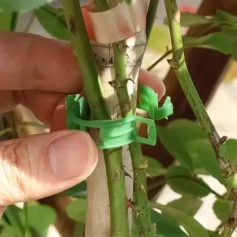 Plant Trellis Clips for Tomatoes and Vines, 2.5 cm, 10–300 Pack