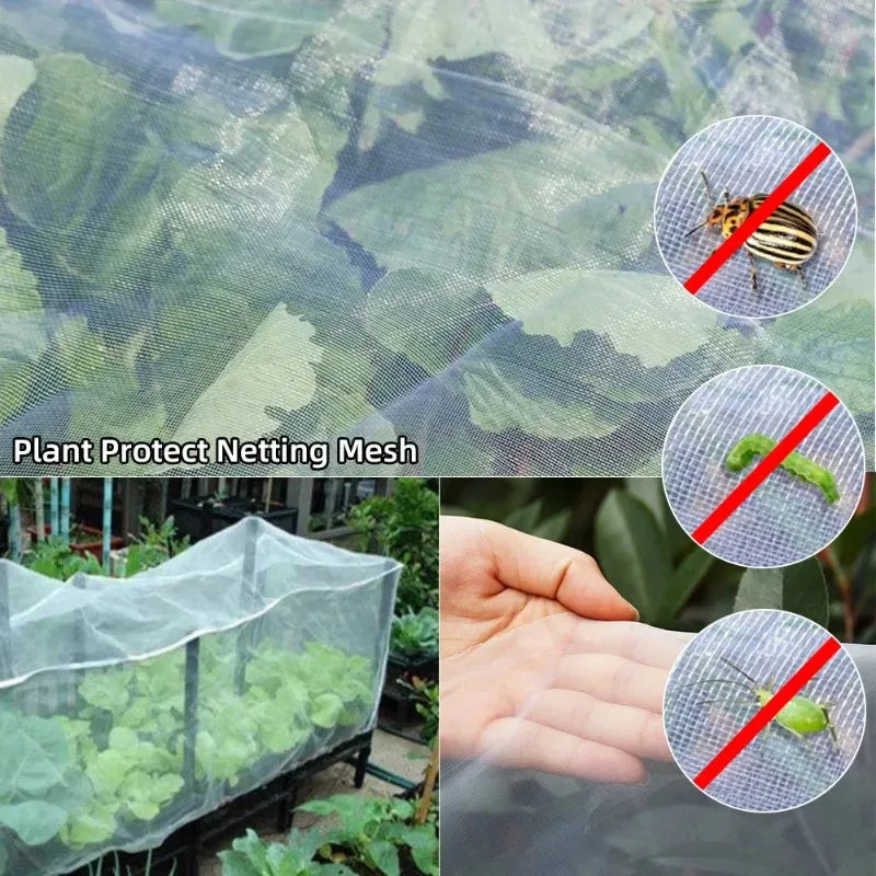 White 60-Mesh Insect Netting for Vegetables, 2 × 5 m or 3 × 10 m