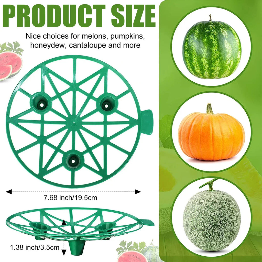 Melon and Pumpkin Cradles, 19.5 cm, 10 Pack
