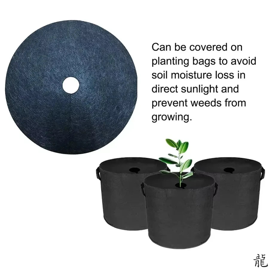 Non-Woven Tree Mulch Rings, 15–62 cm, 5 Pack