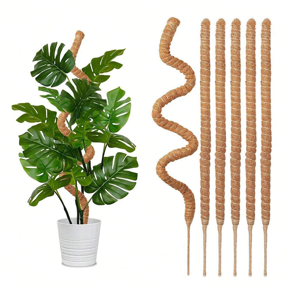 Bendable Coir Moss Pole for Climbing Houseplants, 30–100 cm