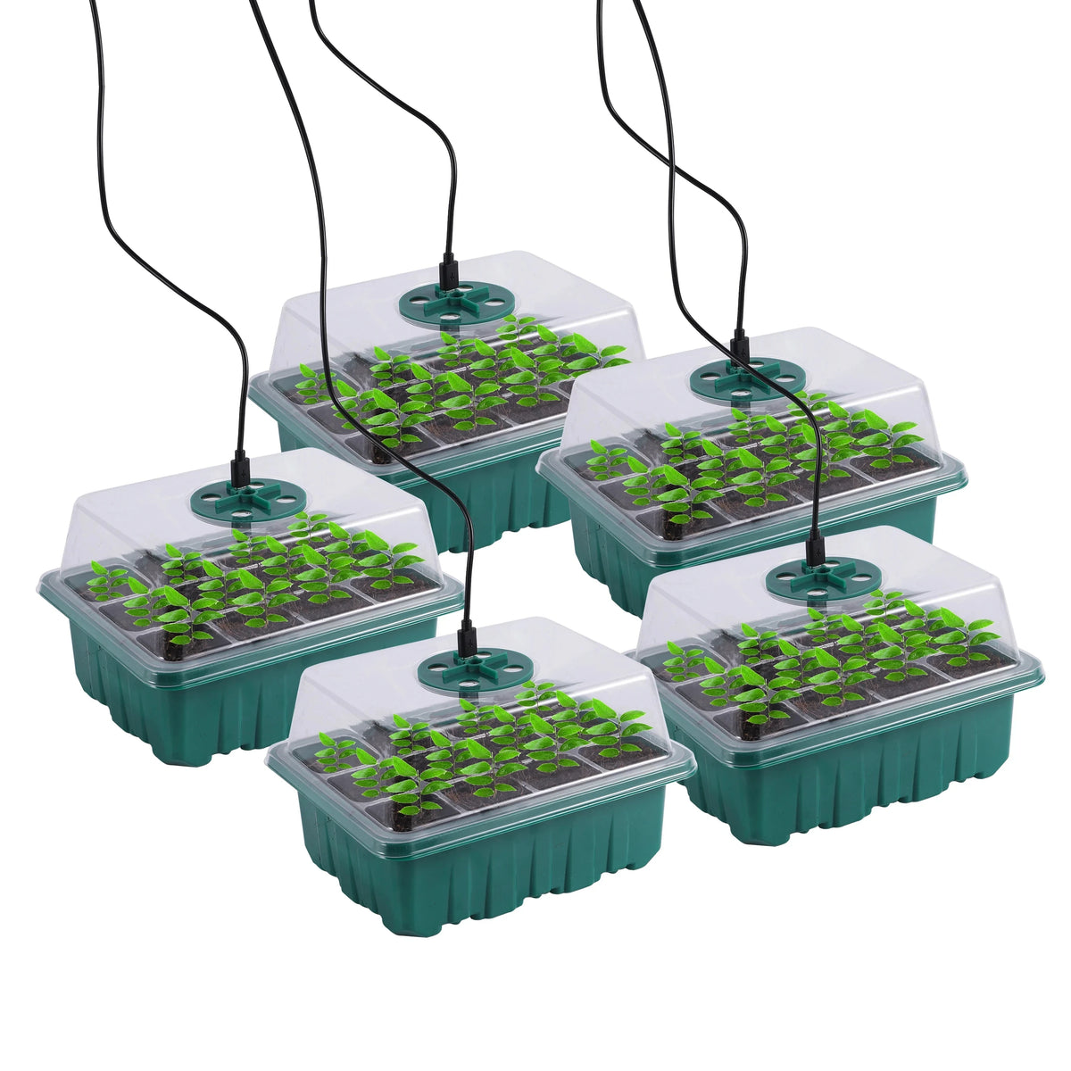 LED Grow Light Seed Starter Tray - 6/12/13 Cell Germination Nursery Box with Adjustable Ventilation And Humidity Cover for Seedl