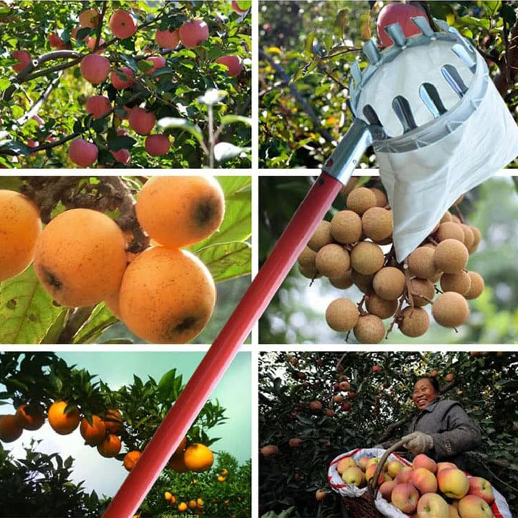 Fruit Picking Picker High Altitude Telescopic Collector Garden Supplies Catcher Trees Tools Tool Pick