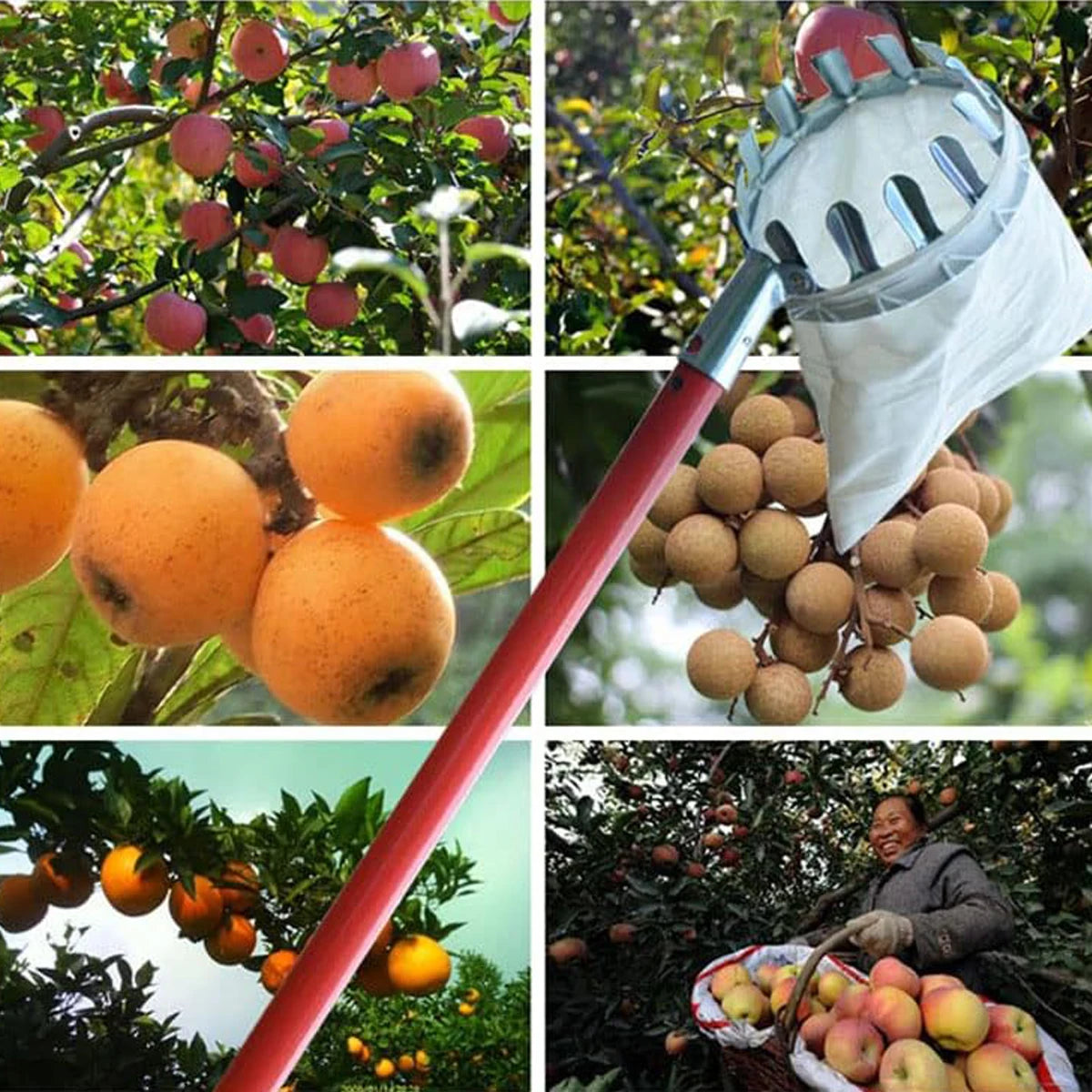 Fruit Picking Picker High Altitude Telescopic Collector Garden Supplies Catcher Trees Tools Tool Pick