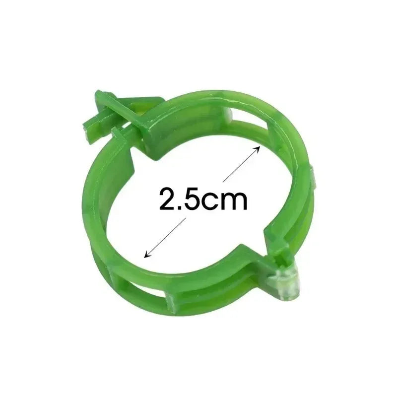 Plant Trellis Clips for Tomatoes and Vines, 2.5 cm, 10–300 Pack