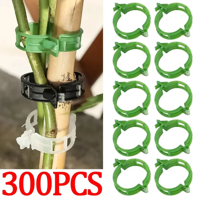 Plant Trellis Clips for Tomatoes and Vines, 2.5 cm, 10–300 Pack