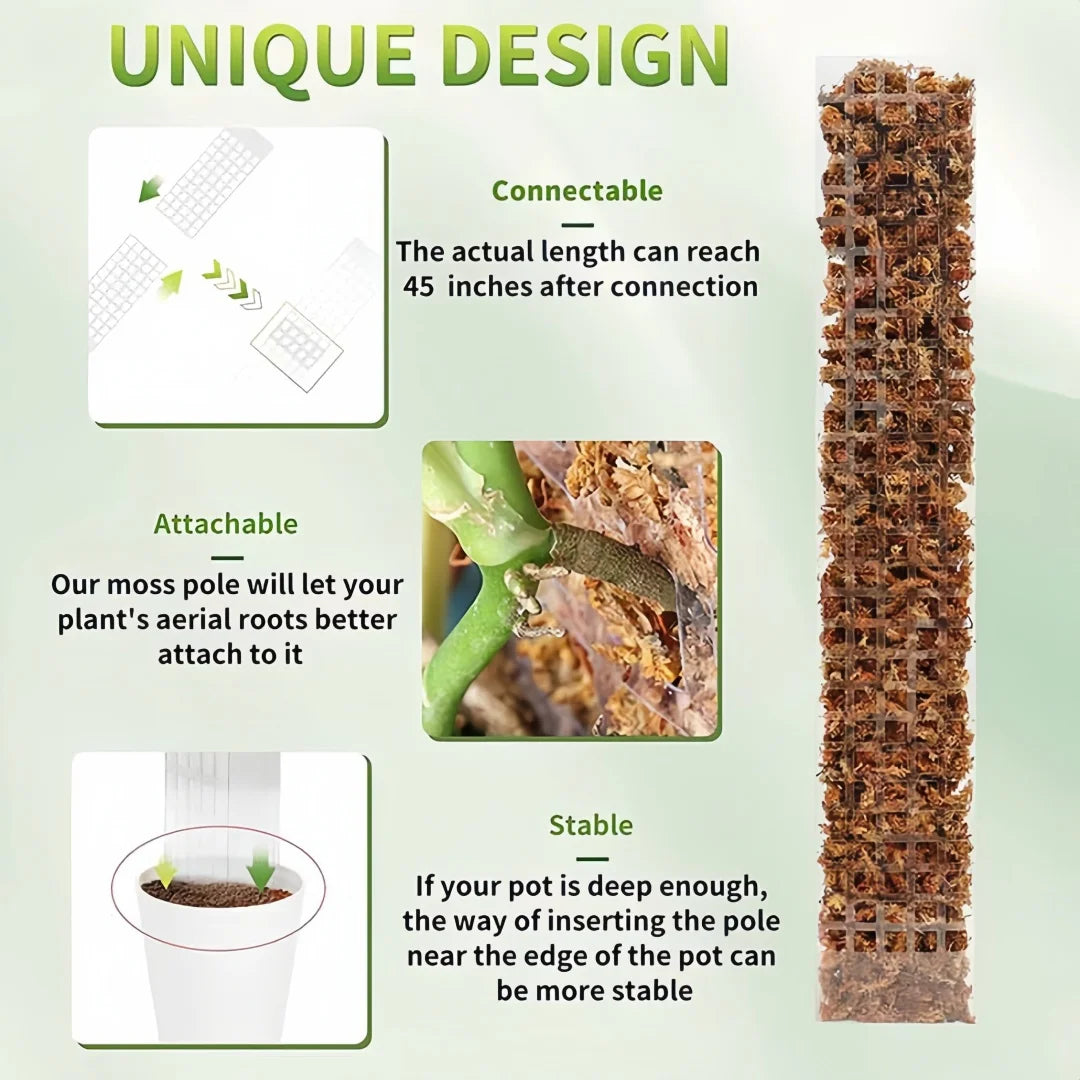 Clear Plastic Moss Pole for Climbing Plants, 38 or 60 cm