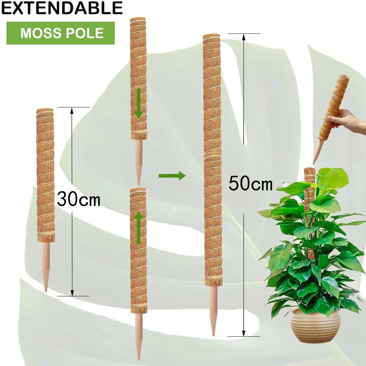 Gardening Coconut Stick Green Pot Fixed Plant Climbing Cane Flower Support Coconut Climbing Cane Moss Rod 1pc