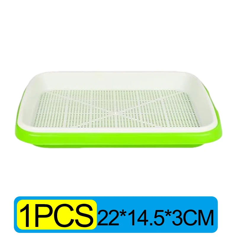 Double-Layer Seed Sprouting Tray, 22 × 14.5 cm, 1–3 Pack