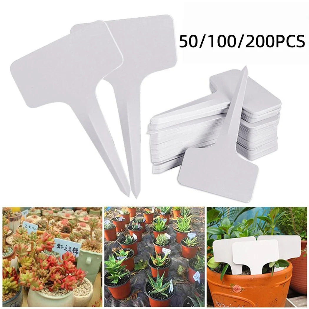 White PVC T-Type Plant Labels, 6 × 10 cm, 50–200 Pack
