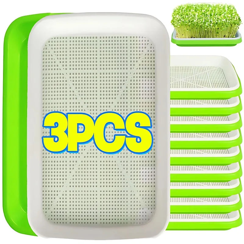 Double-Layer Seed Sprouting Tray, 22 × 14.5 cm, 1–3 Pack
