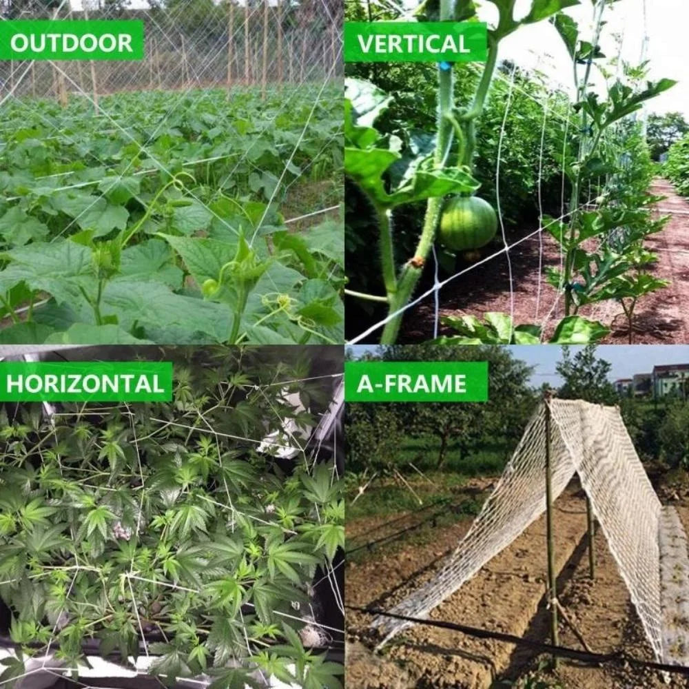 White Polyester Trellis Netting for Climbing Vegetables, 4 × 8 ft to 10 × 30 ft