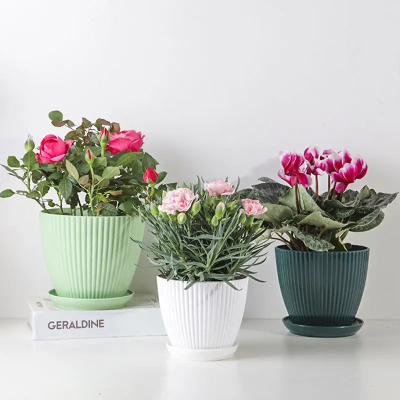 Round Plant Pot with Drainage Tray, 5 Sizes, 4 Colors