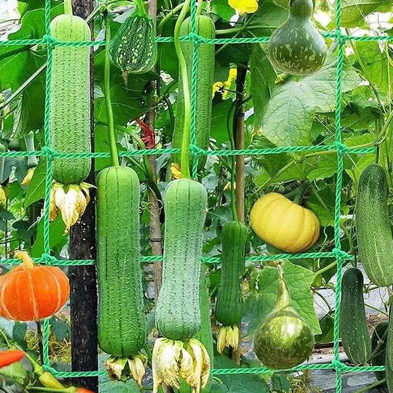 Nylon Trellis Netting for Climbing Plants, 0.9 × 1.8 m to 5 × 1.8 m
