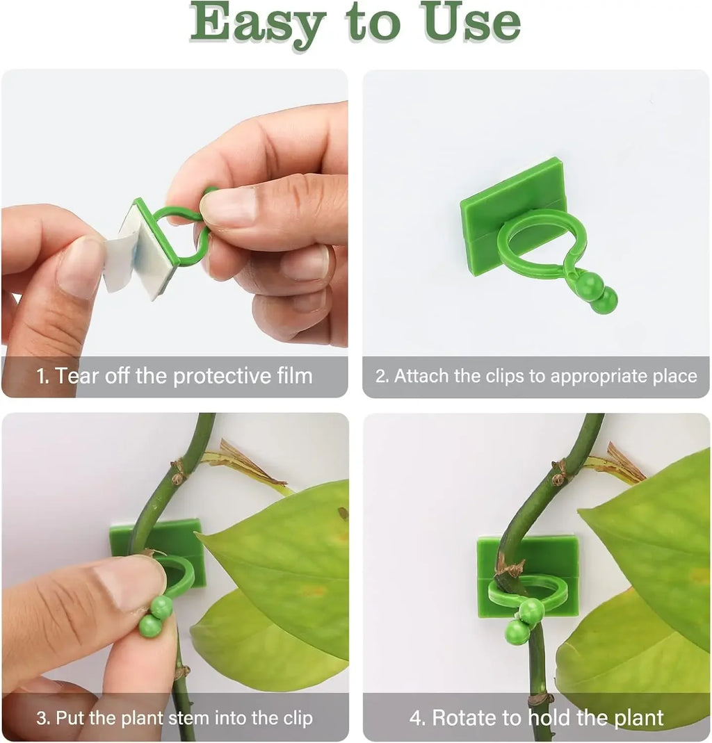 Self-Adhesive Plant Climbing Clips, Small/Medium/Large, 20–200 Pack