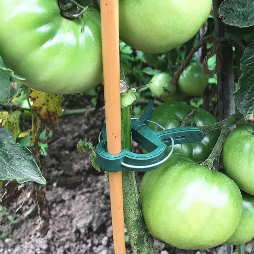 Reusable Plastic Plant Clips for Vines and Tomatoes, 10–100 Pack