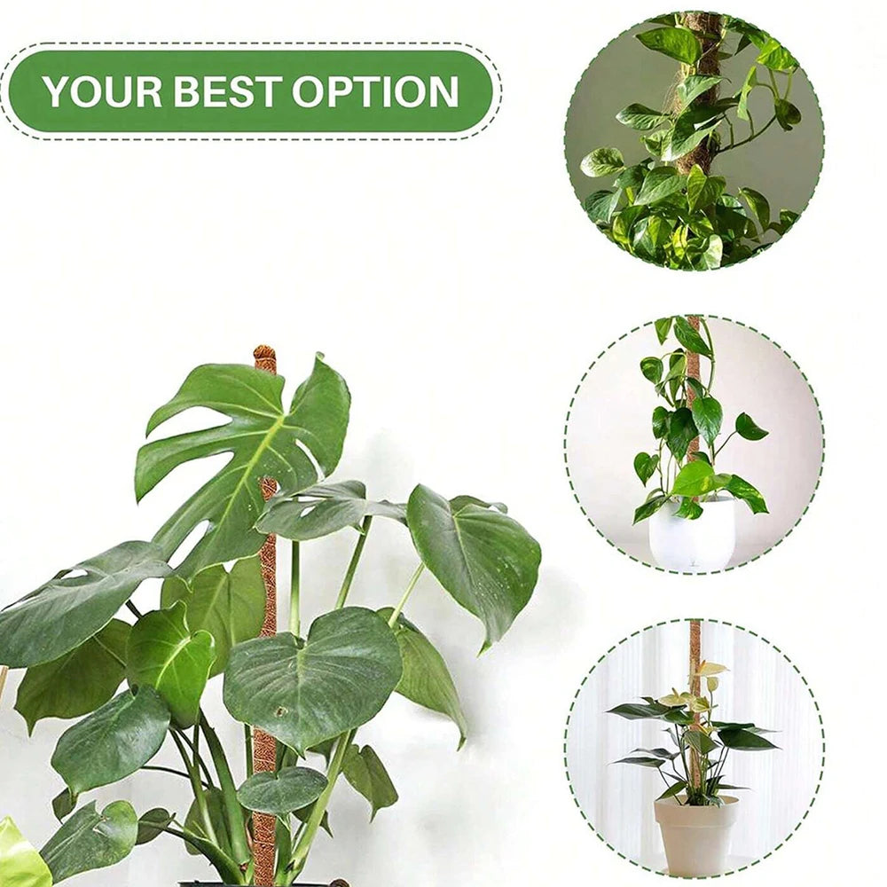 Bendable Coir Moss Pole for Climbing Houseplants, 30–100 cm