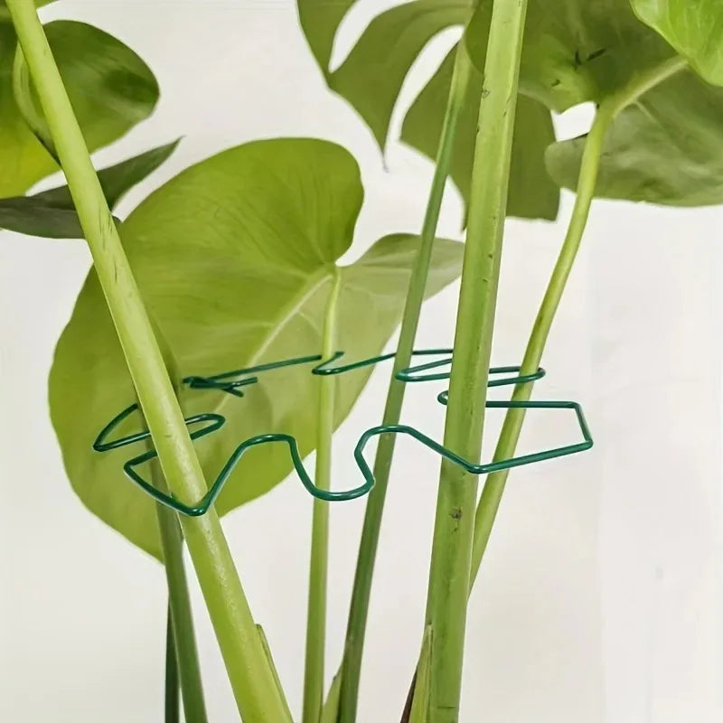 Plant Stabilizer Plant Holder For Supporting Monstera And Flowers Plant Support