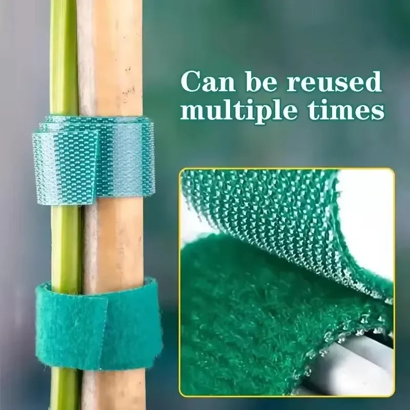 Reusable Hook-and-Loop Plant Ties, 2 m Rolls, 1–25 Pack