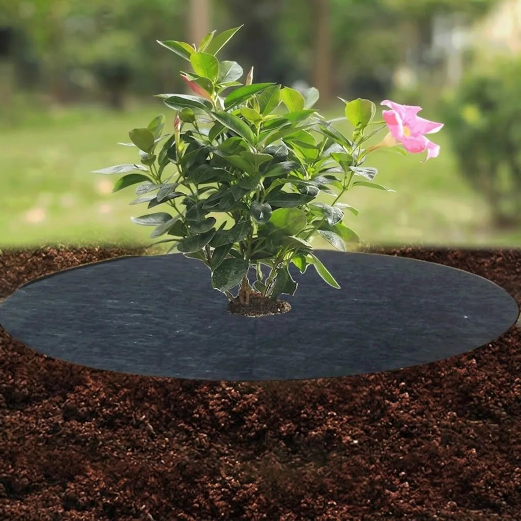 Non-Woven Tree Mulch Rings, 15–62 cm, 5 Pack