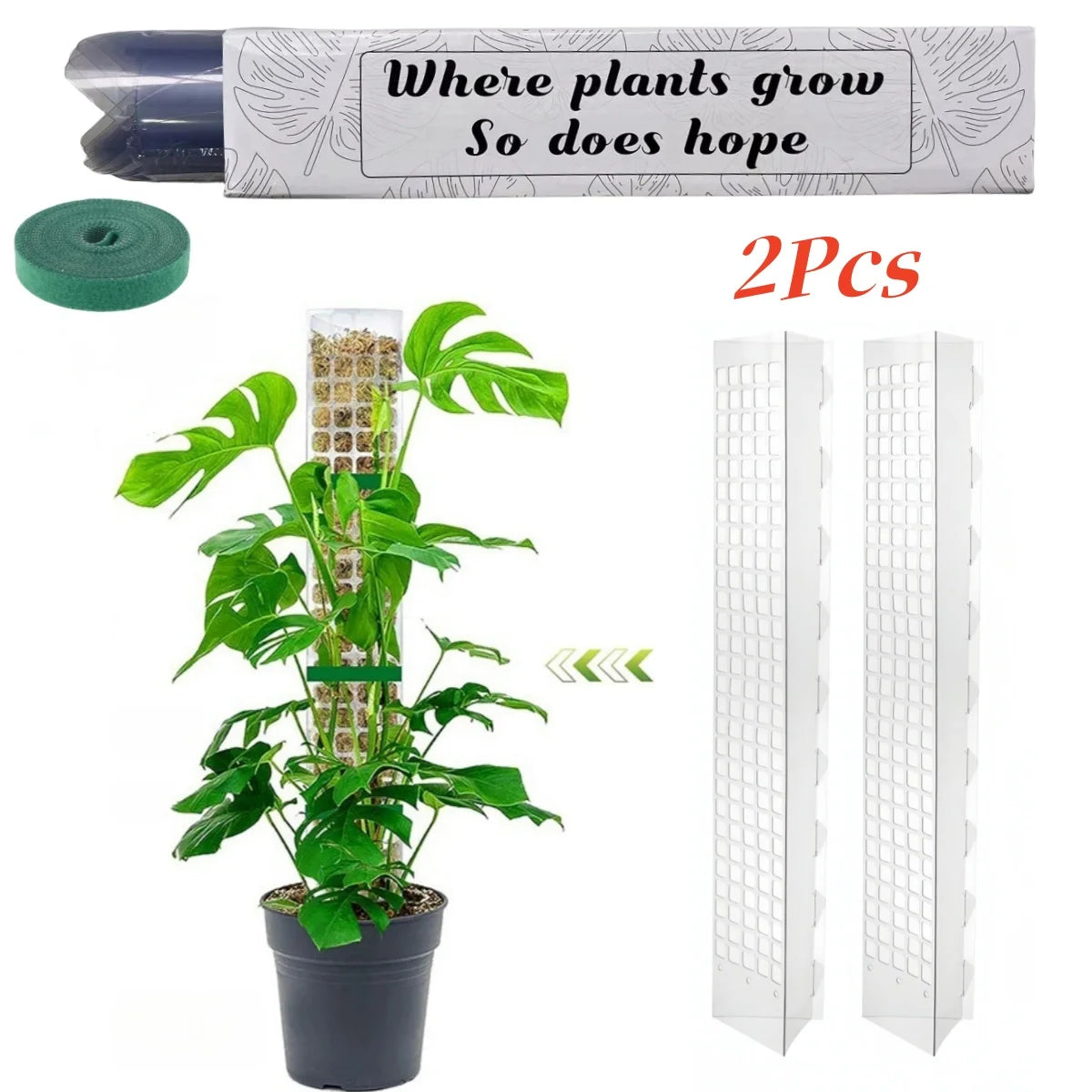 Clear Plastic Moss Pole for Climbing Plants, 38 or 60 cm