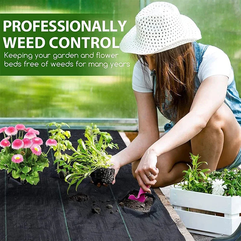 PE Weed Control Fabric with Planting Guide Lines, 1 × 5 m