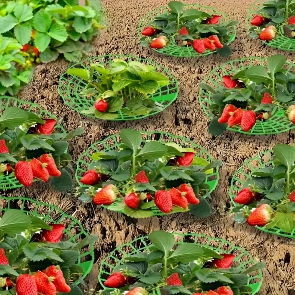 20/50Pcs Heavy-Duty Garden Support Frame with 3- Sturdy Design Open Grid Drainage System Strawberry & Watermelon Planting Rack