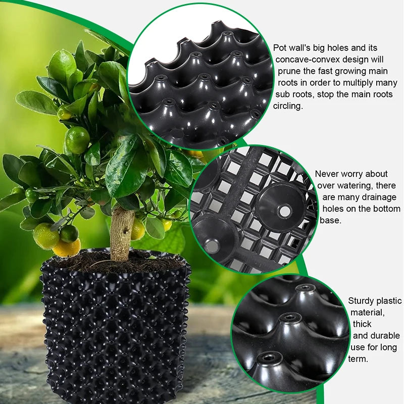 Air-Pruning Root Control Nursery Pot, 20–40 cm