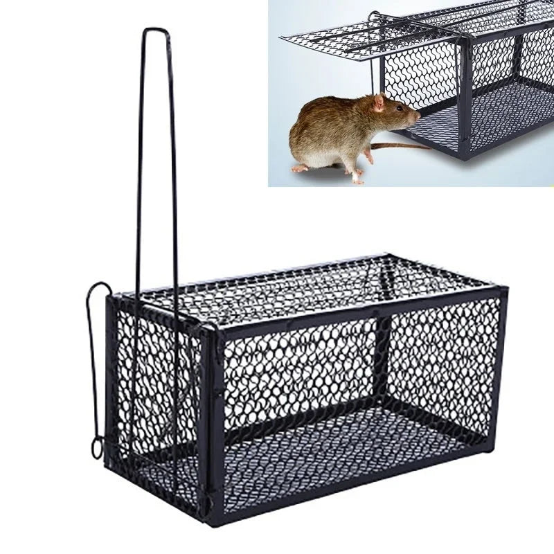 Metal Live-Catch Rat and Mouse Cage Trap, 23 cm